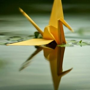 Meet your Posher, Bryan